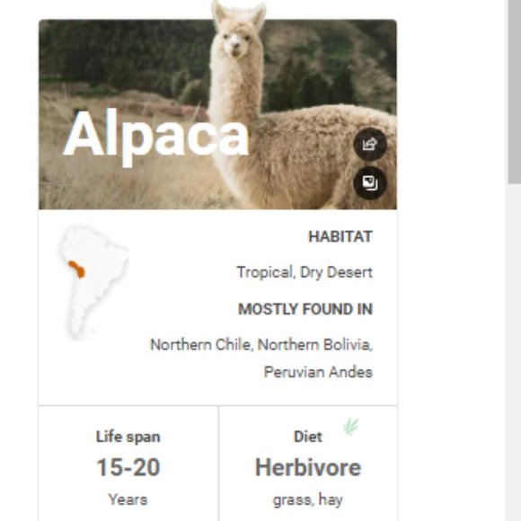 Alpaca Sweater 100% Peruvian Alpaca Tribal Knit Intarsia Sweater XS Fall/Winter - Picture 10 of 11